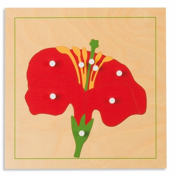 Εικόνα της Nienhuis Montessori-Παζλ Βοτανικής Λουλούδι