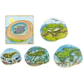 Beleduc 17053 Ξύλινο Παζλ Επιπέδων Βάτραχος – 5 επίπεδα για την εξέλιξη από αυγό έως ενήλικο βάτραχο σε παιδιά