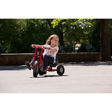 Εικόνα της Zlalom Tricycle Large