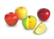 Τα 4 μαγνητικά μήλα κλασμάτων LΕR0904 της Learning Resources που δείχνουν το ολόκληρο και τις υποδιαιρέσεις σε 1/2, 1/3 και 1/4.