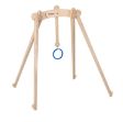 Εικόνα της Nienhuis Montessori-Ξύλινος Κρίκος