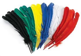 Το χρωματιστό Σετ 24 Χρωματιστά Φτερά (30cm) – Childhood Supply CHLGQUIL σε μαύρο, πράσινο, κίτρινο, μπλε, λευκό και κόκκινο χρώμα, για αμέτρητες χειροτεχνίες, σε λευκό φόντο.